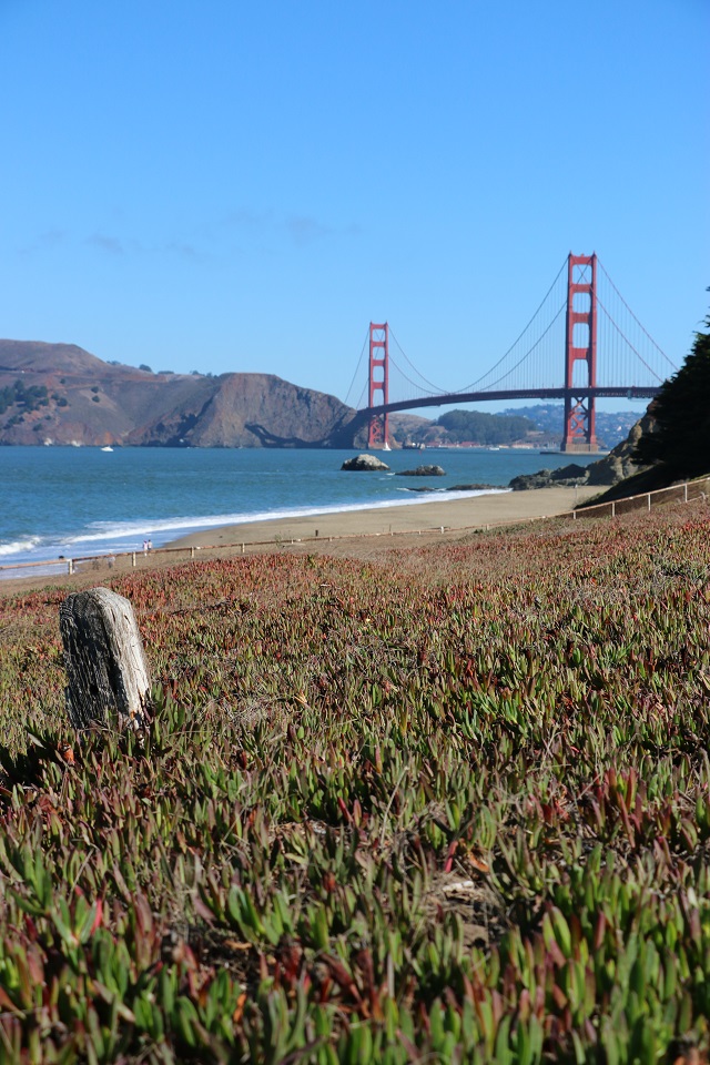 Golden Gate Fail - 03 - Best - 2 of 10.jpg