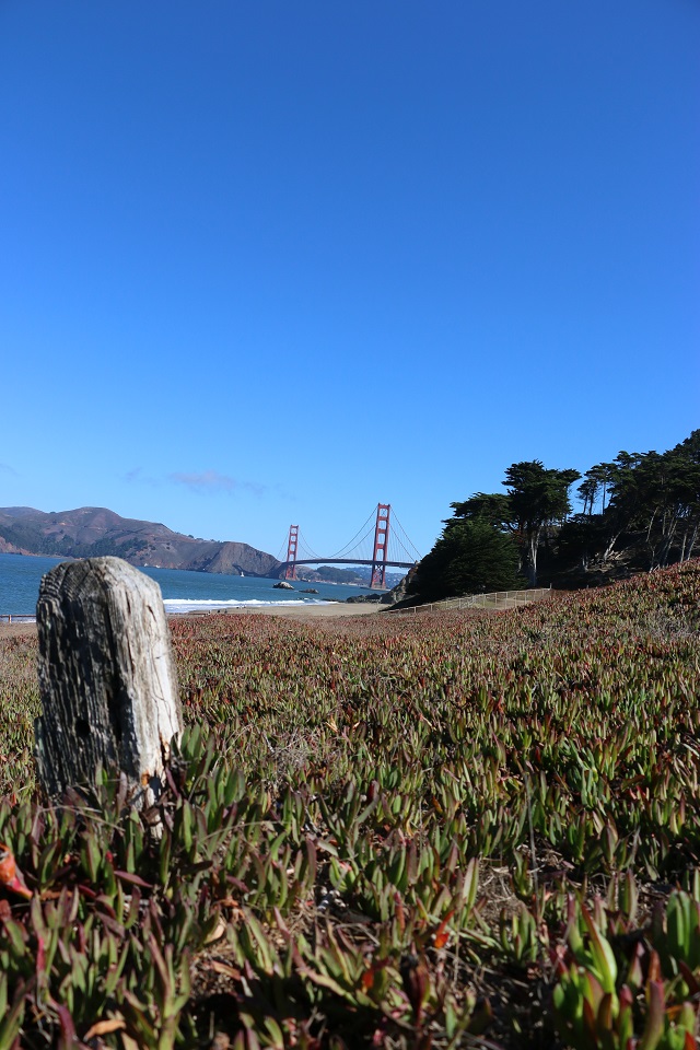 Golden Gate Fail - 04 - 3 of 10.jpg