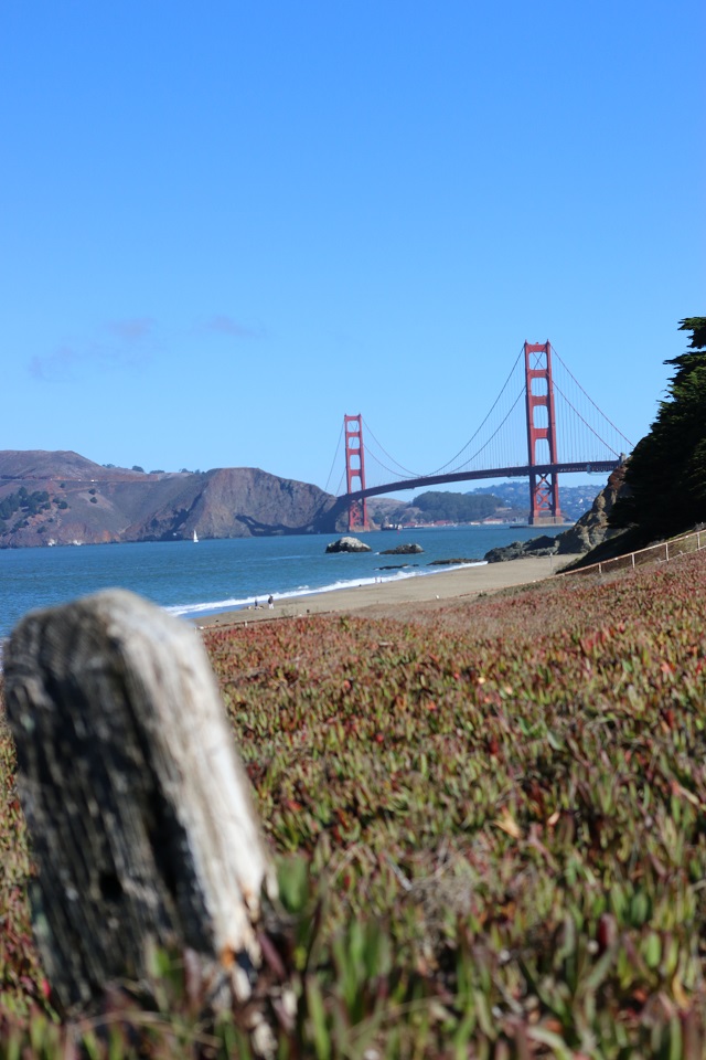 Golden Gate Fail - 05 - Best - 6 of 10.jpg