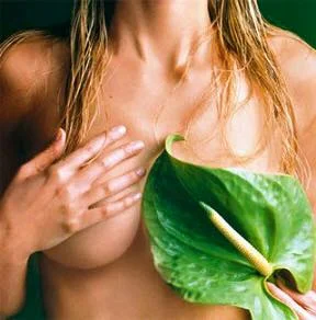 Deja de buscar recetas para aumentar el busto