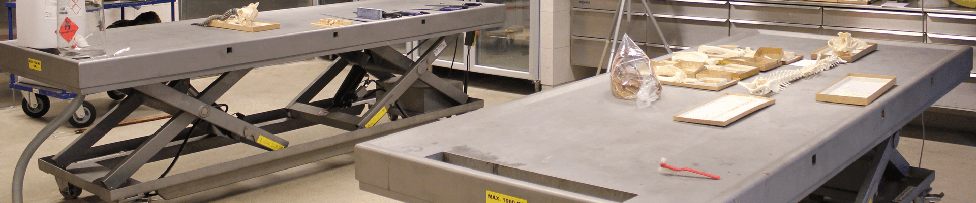 Case Top banner desktop - zoo bord.png