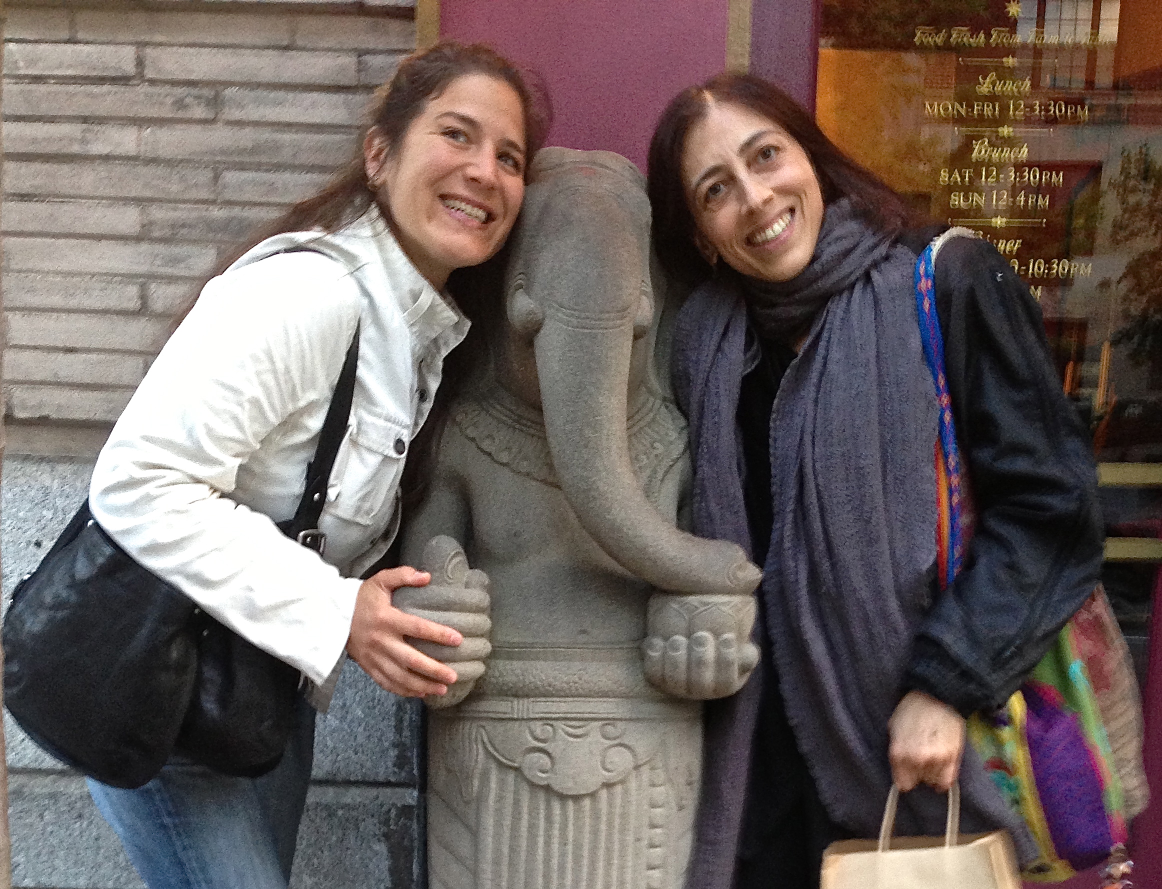Sarah Willis and Dr. Eden Fromberg met as students at the Jivamukti Yoga center back around 15 years ago. They have been friends, peers, and Dr. Fromberg has attended to Sarah in the role of being her trusted physician for many years, and was instrumental in the birth of her son Elias, born January 7, 2012, when Sarah was 38. This fortunate alliance is giving way to symbiotic and fascinating work, demystifying the practice of Yoga and inviting fertility and the Sacred Feminine into our lives. Sarah and Eden are thankful for this opportunity to serve and empower other women. 