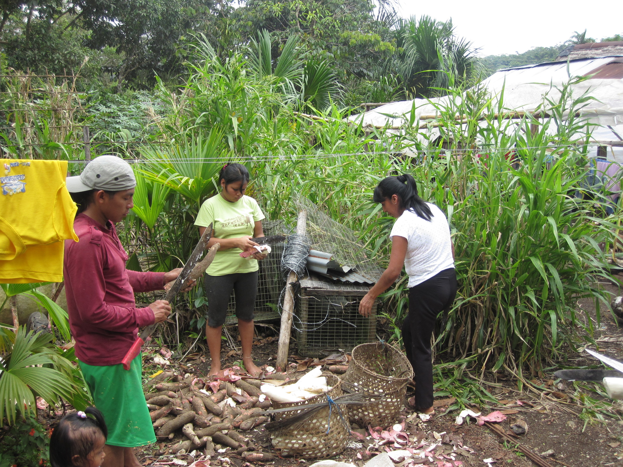 Indigenous Community - Ecuador