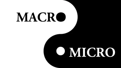 macromicro.png
