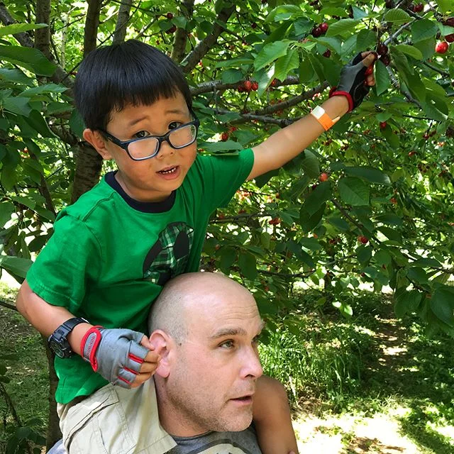 And just like that early summer cherry picking becomes a new family tradition!
#timeforcherrypie
#photoaday2018