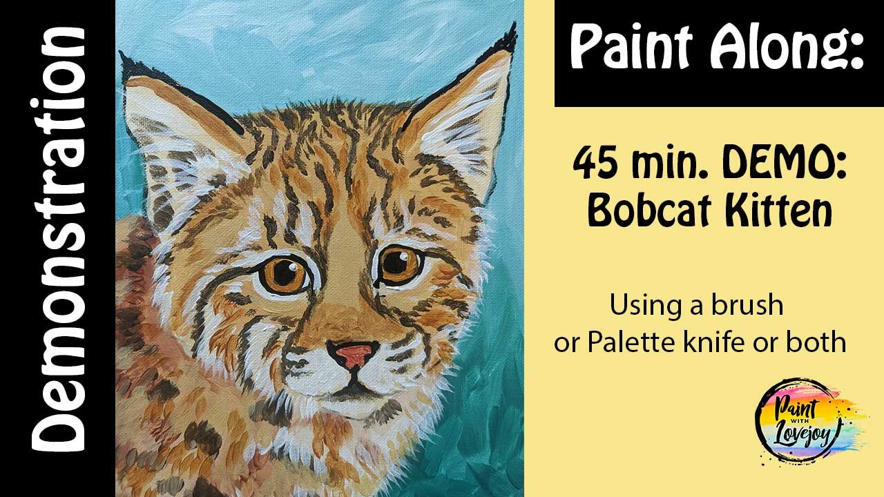 demo-bobcatkitten.jpg
