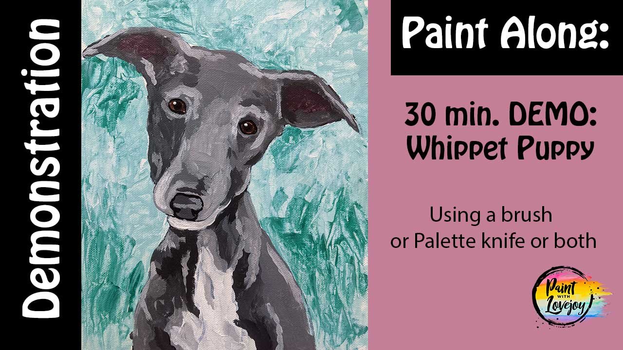 demo-whippet.jpg