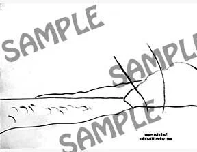 beacg-real-trace-sample.jpg
