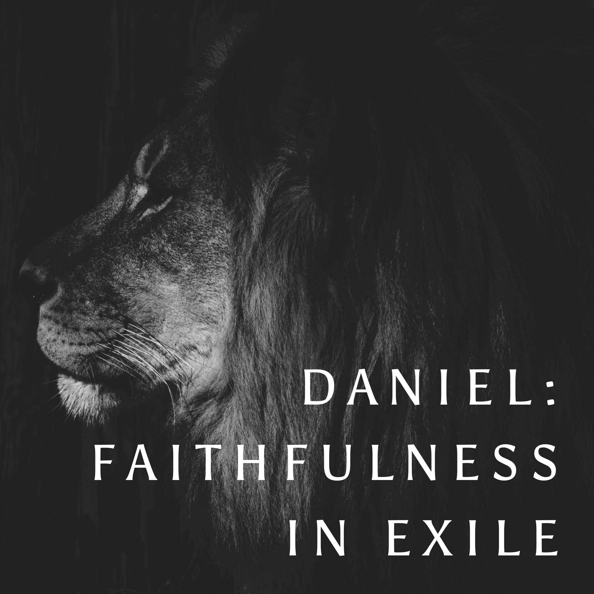 Until the Decreed End (Daniel 9)