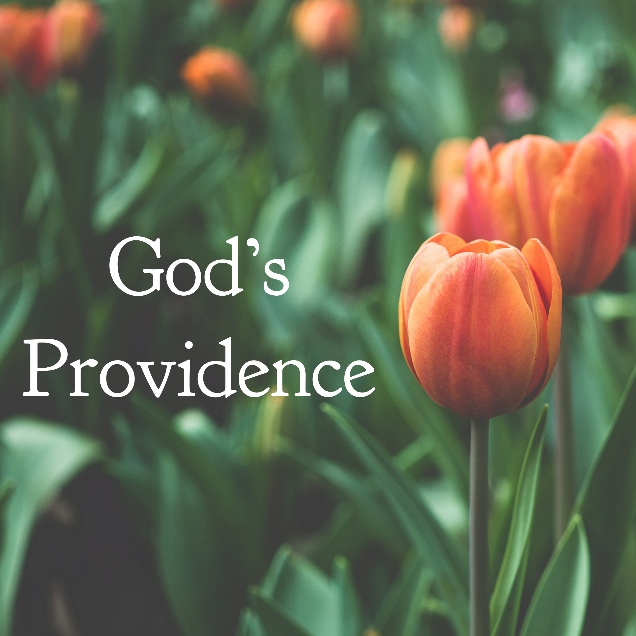 God's Providence.PNG