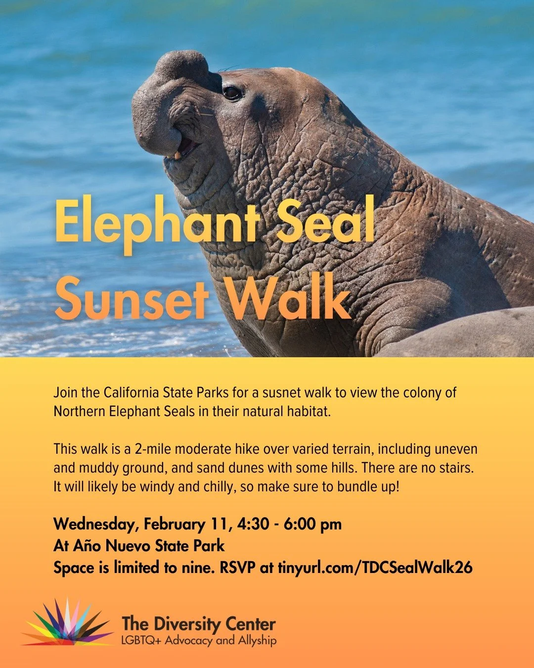 REGISTRATION CLOSED Guided Seal Walk at A&ntilde;o Nuevo State Park 🌊 A&ntilde;o Nuevo State Park is home to a large colony of Northern Elephant Seals. To view the seals in their natural habitat during the period of December through March, you must 