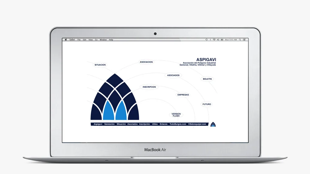  Website Aspigavi