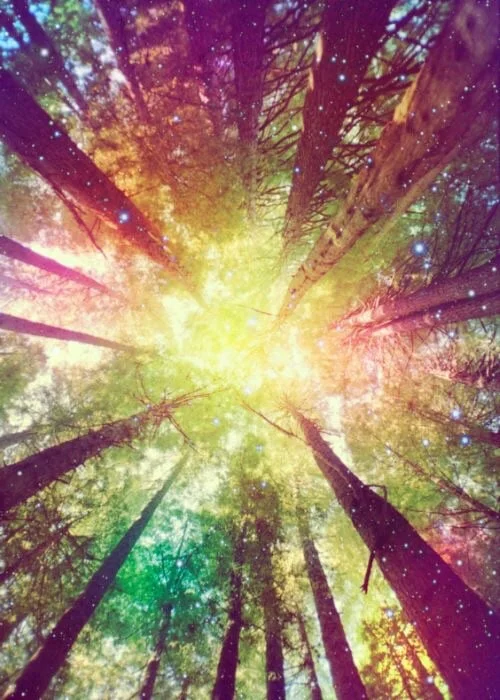 Image Credit: http://Pinterest.com