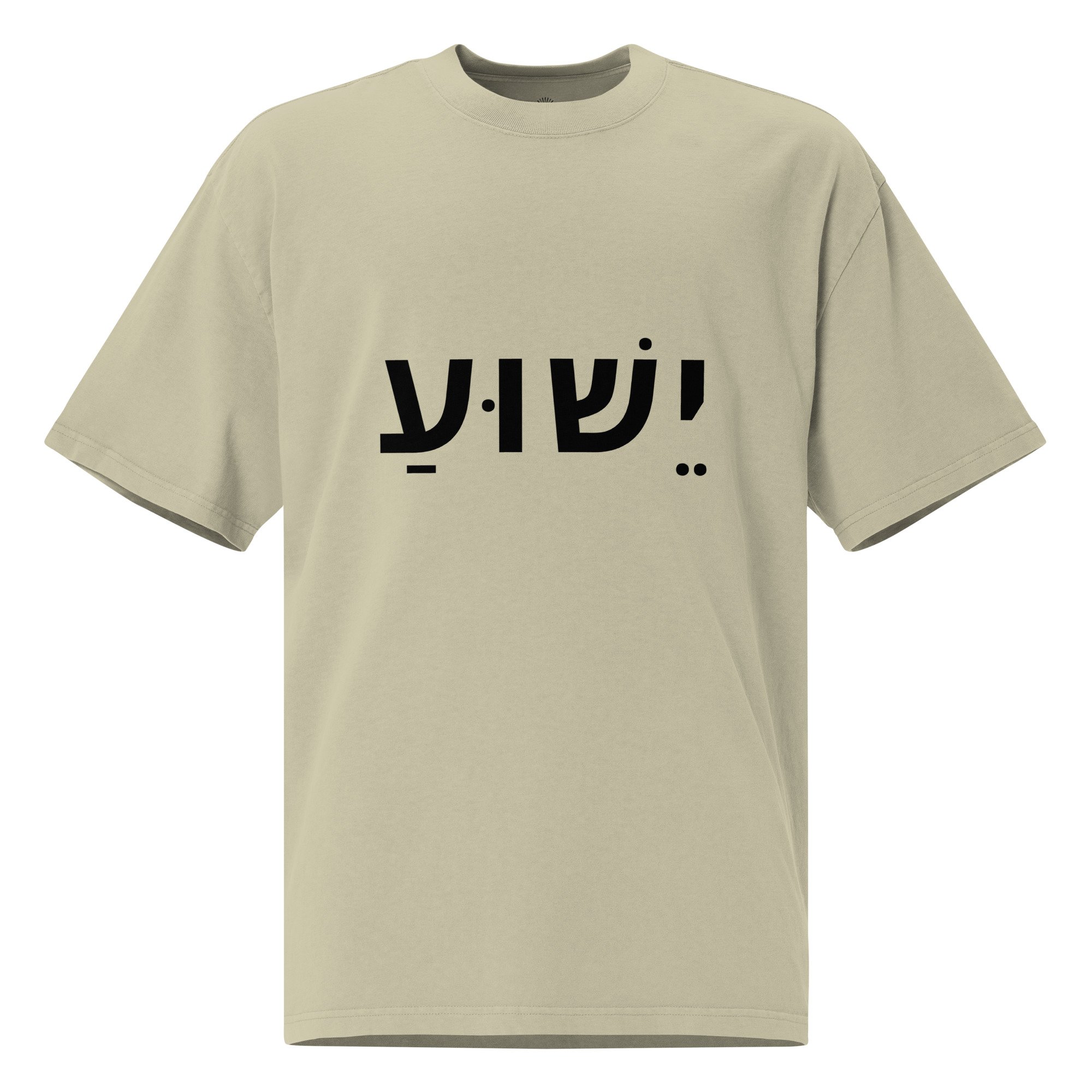 oversized-faded-t-shirt-faded-eucalyptus-front-6724e2220f0d5.jpg