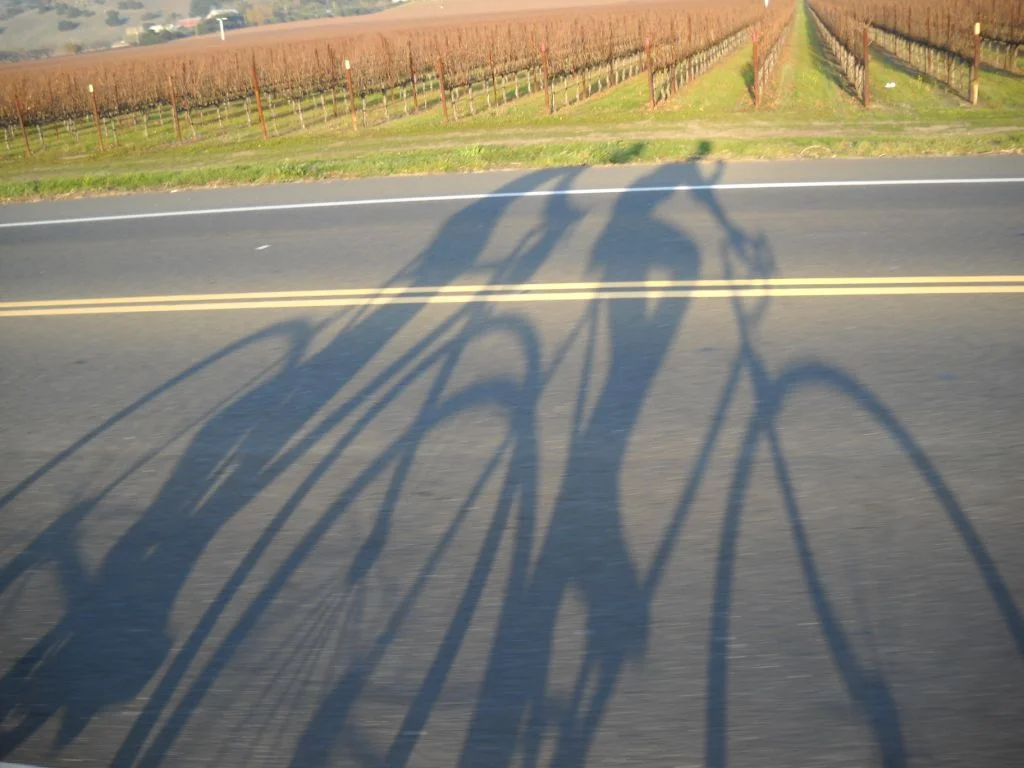 Rentals — Wine Country Cyclery