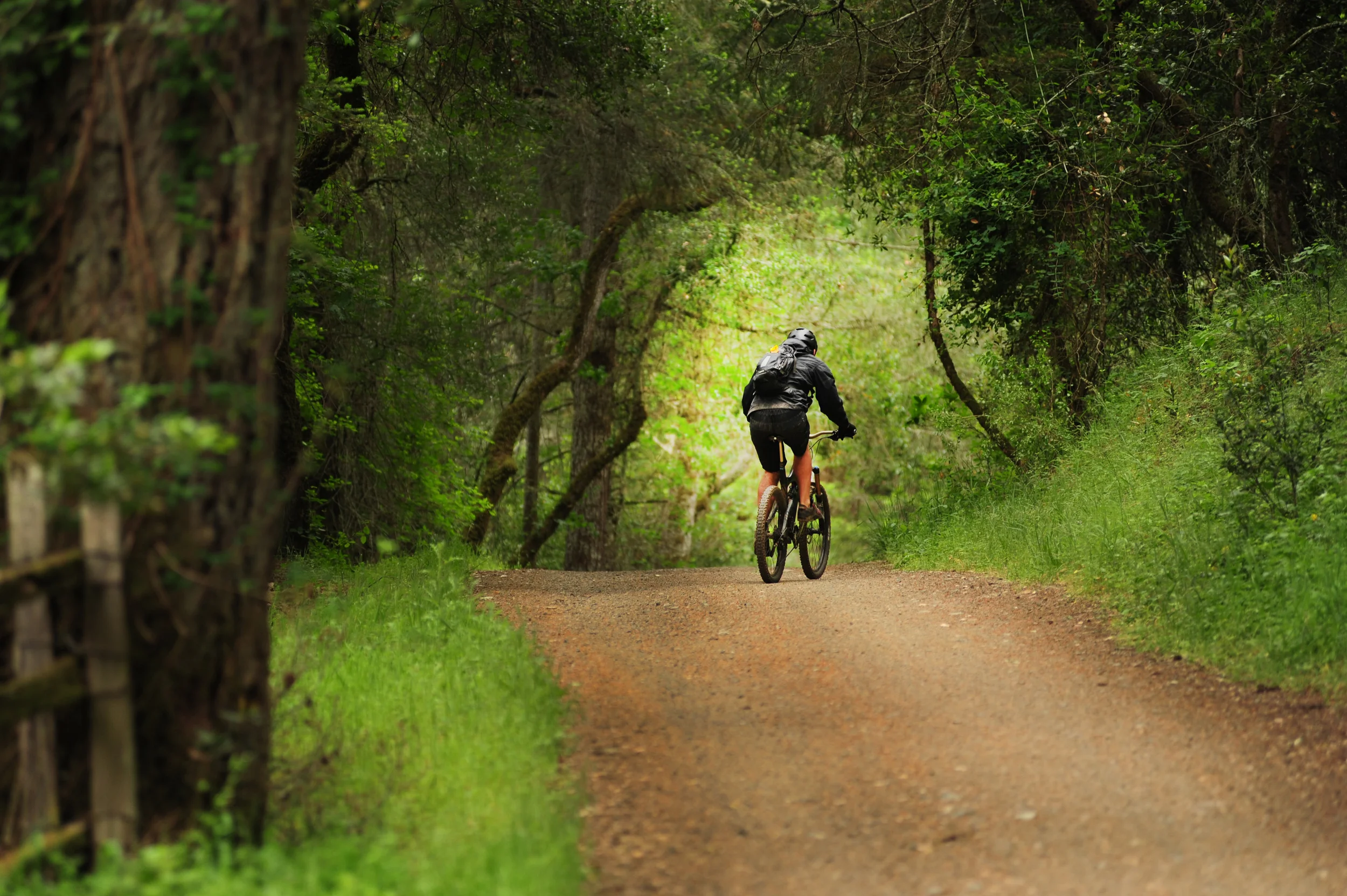 MtBike.jpg
