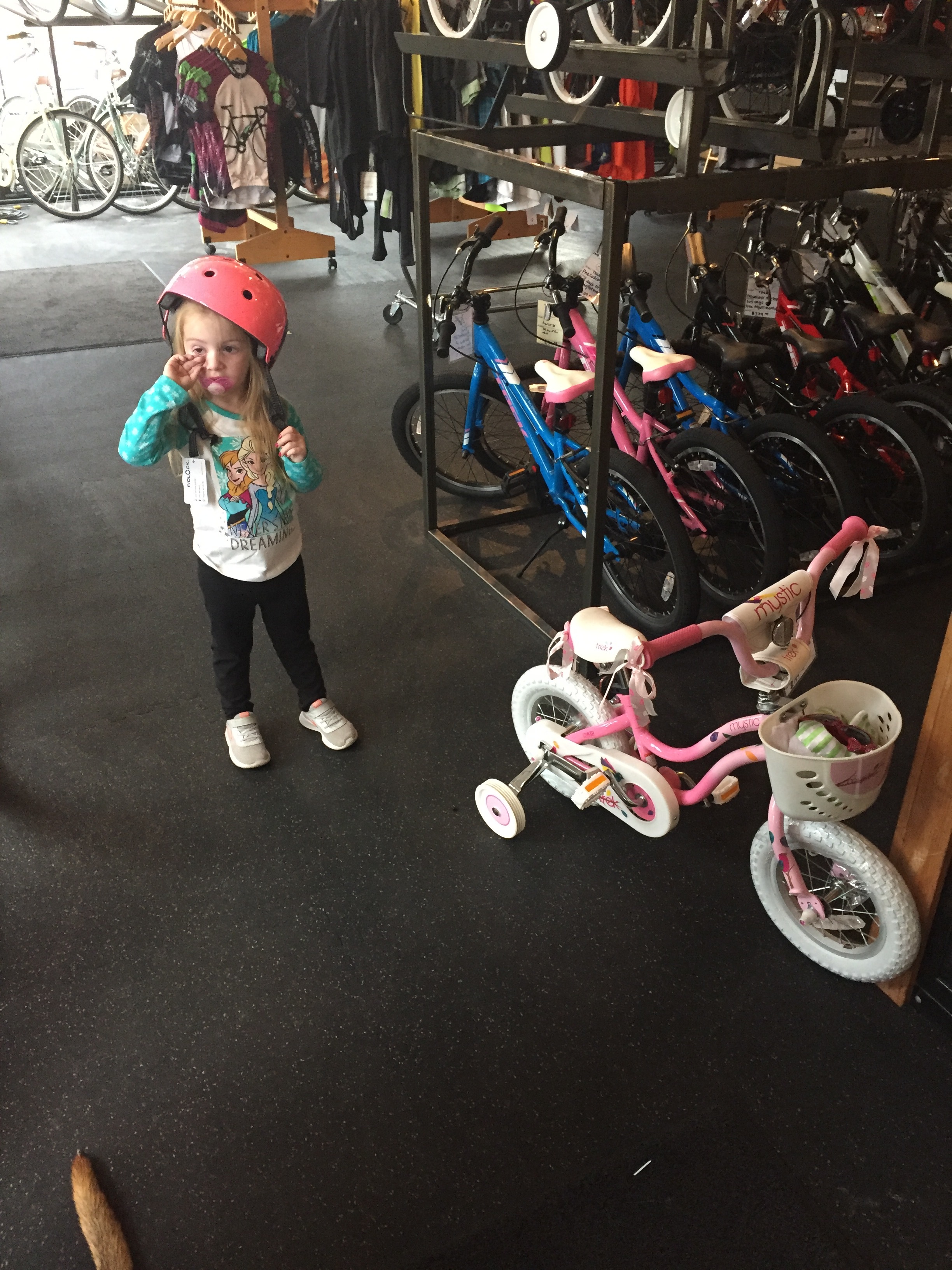 Service — Wine Country Cyclery