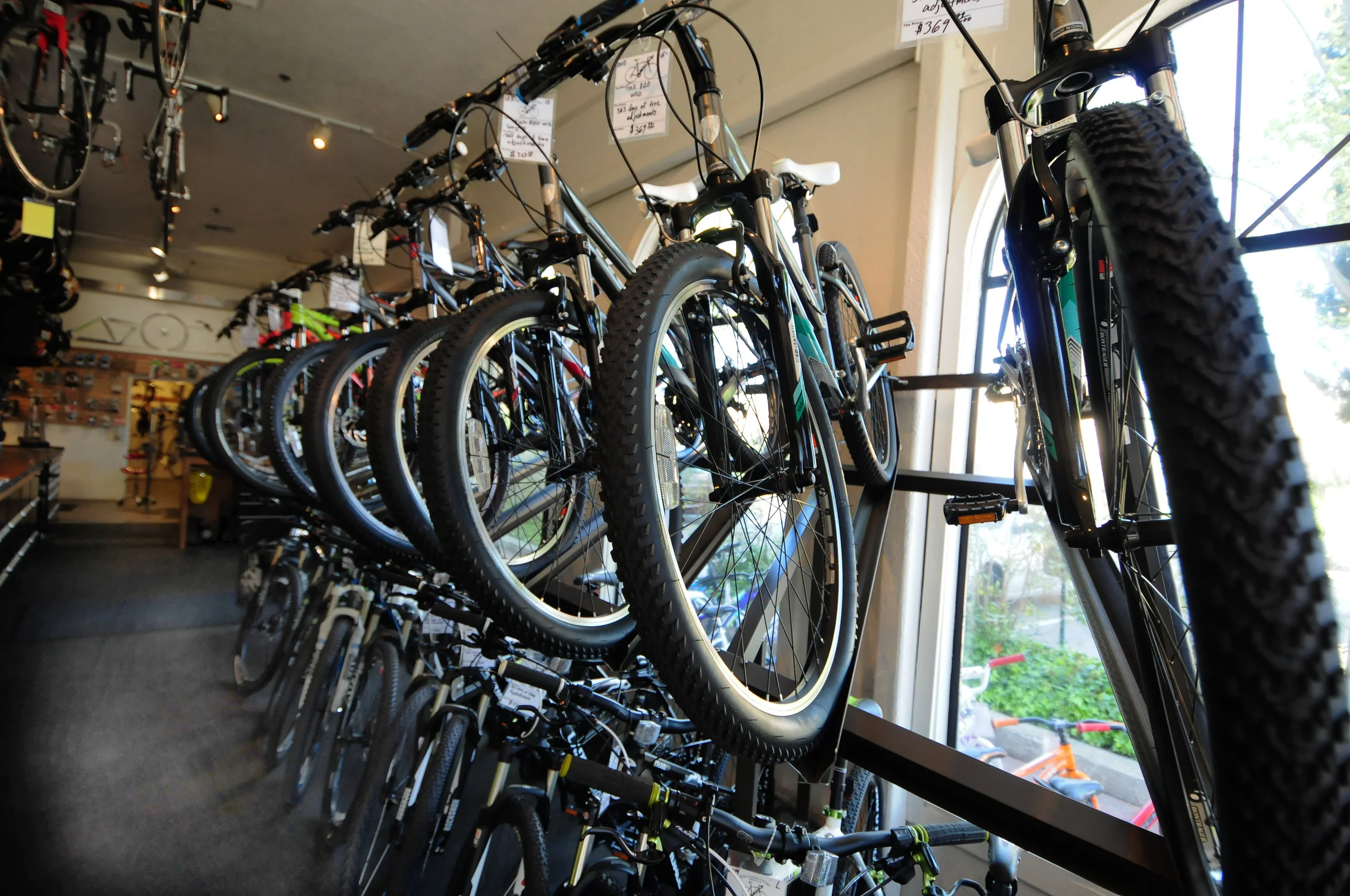 Bikes.jpg