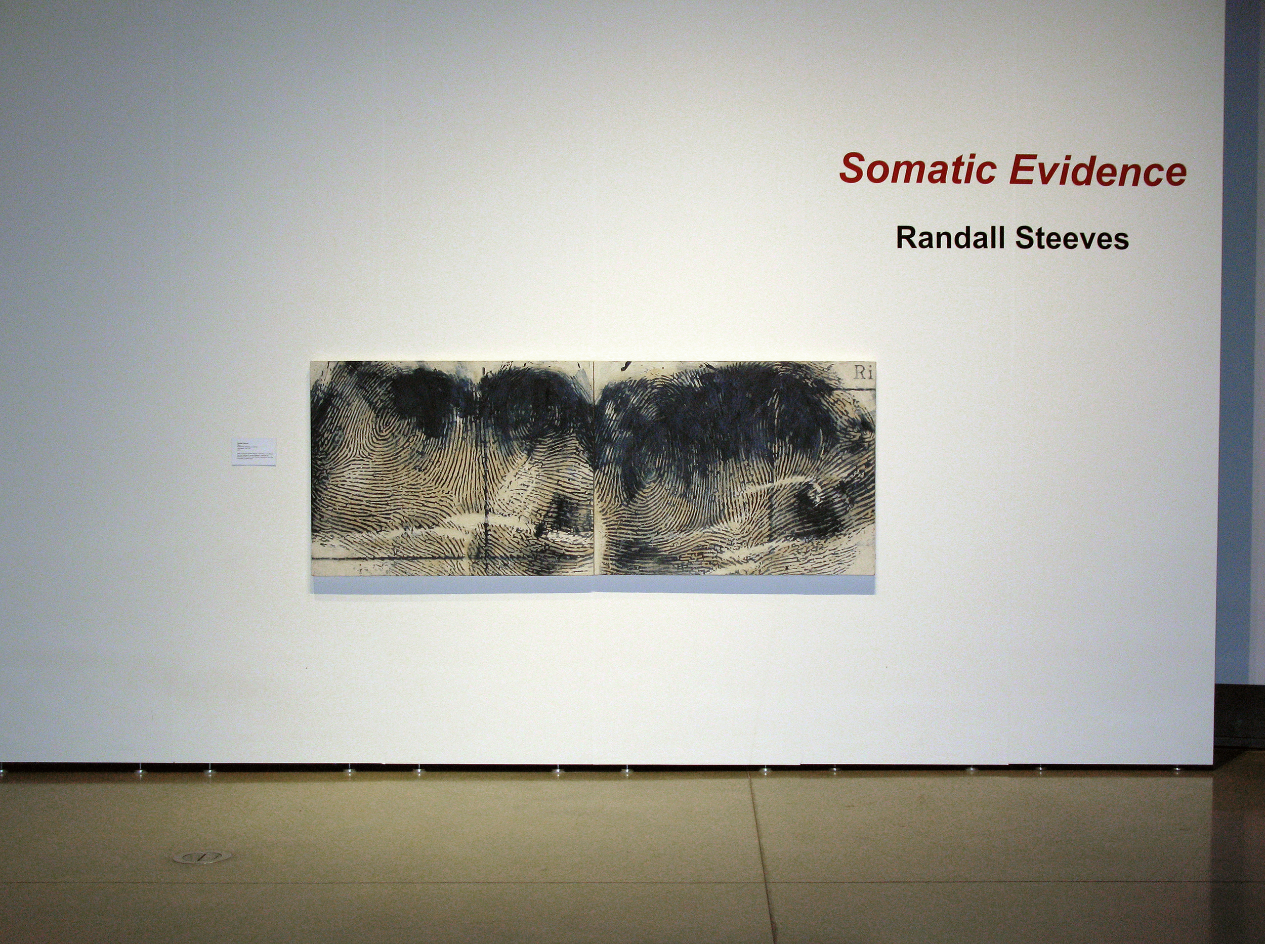   Somatic Evidence  exhibition, Reach Gallery Museum 