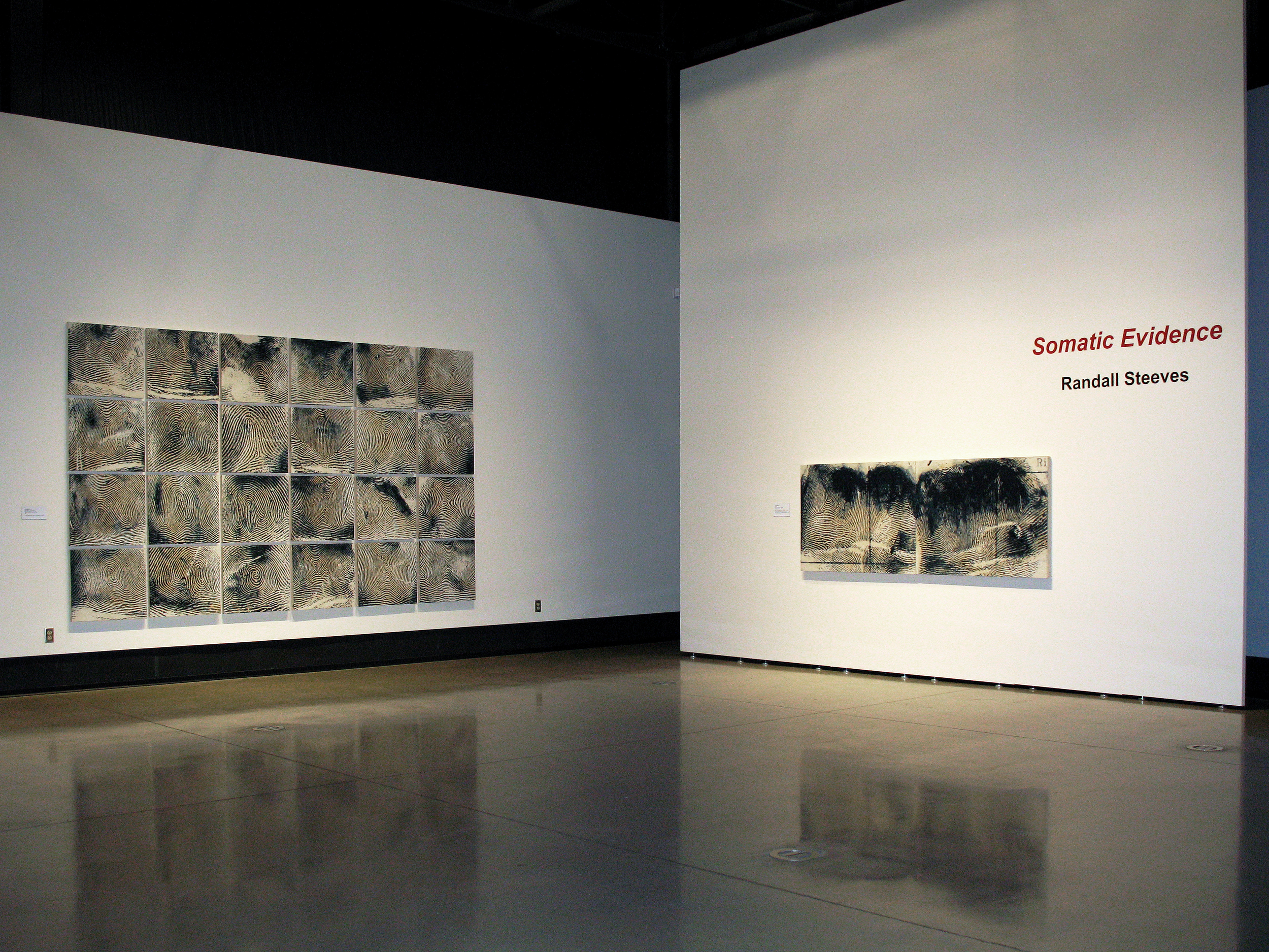   Somatic Evidence  exhibition, Reach Gallery Museum 
