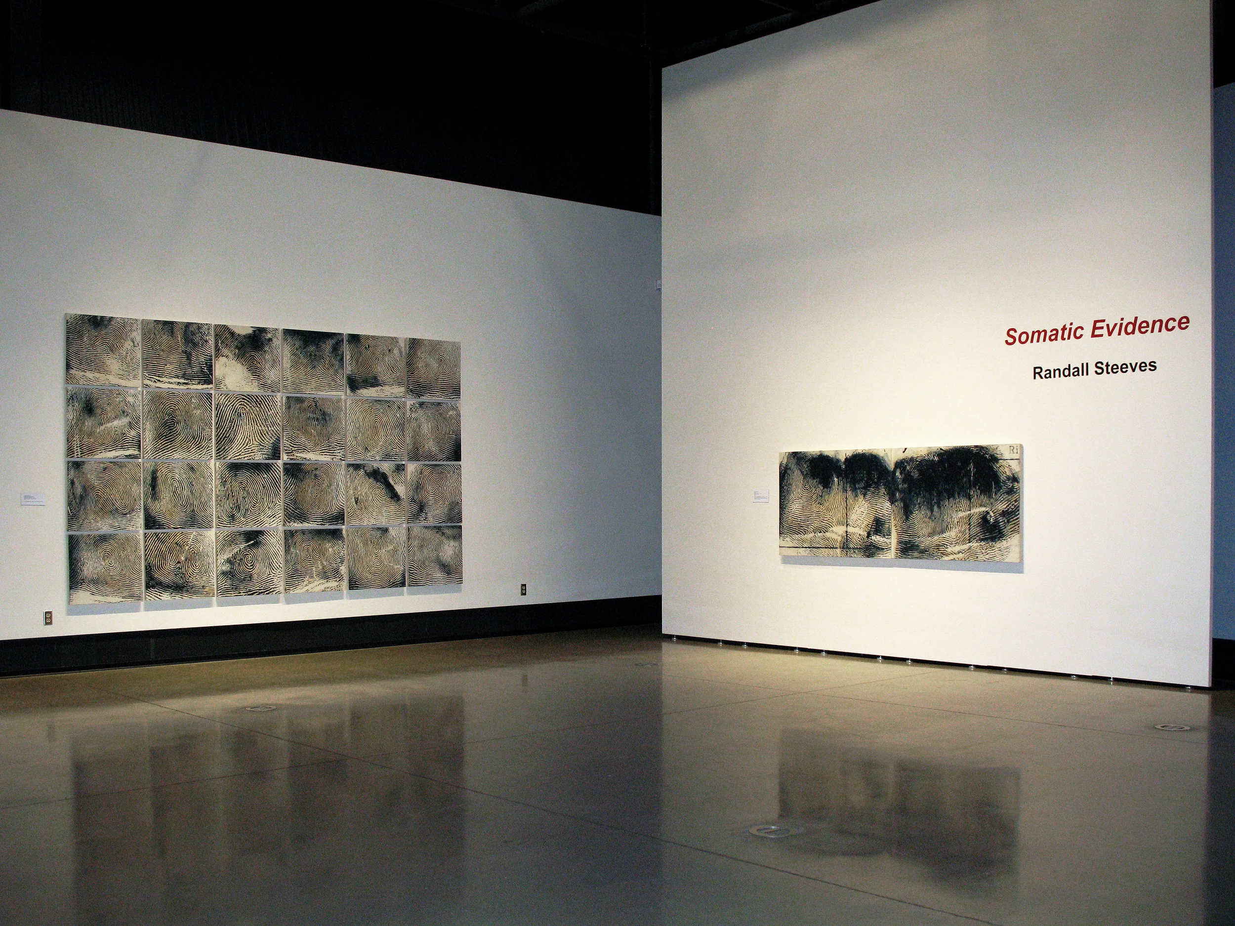 Somatic Evidence exhibition, Reach Gallery Museum