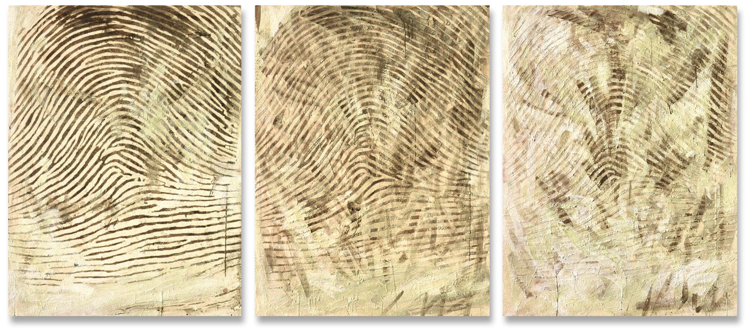Problems in Fingerprinting the Dead, 2002. Encaustic and coffee on canvas, three panels, 30" x 42" each panel.
