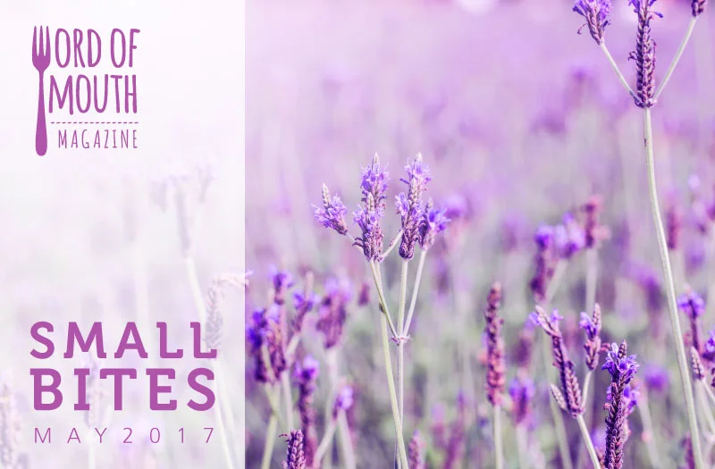 May 2017 Small Bites for Word of Mouth magazine