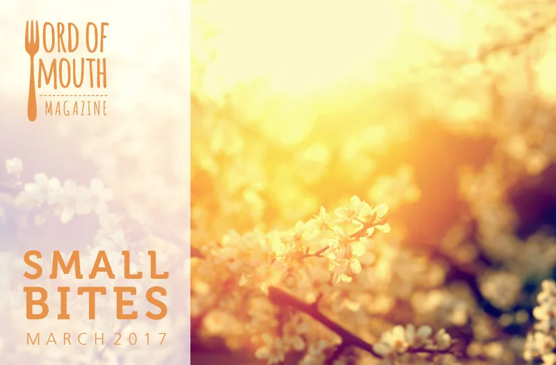 March 2017 Small Bites for Word of Mouth magazine