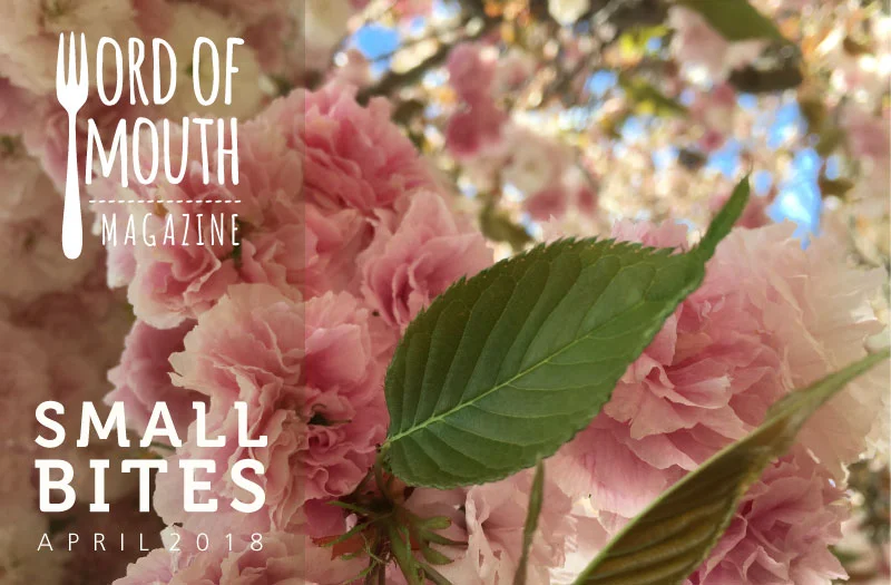 April 2018 Small Bites for Word of Mouth magazine