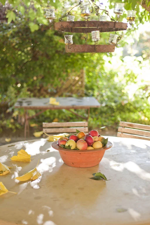 The Apple Farm