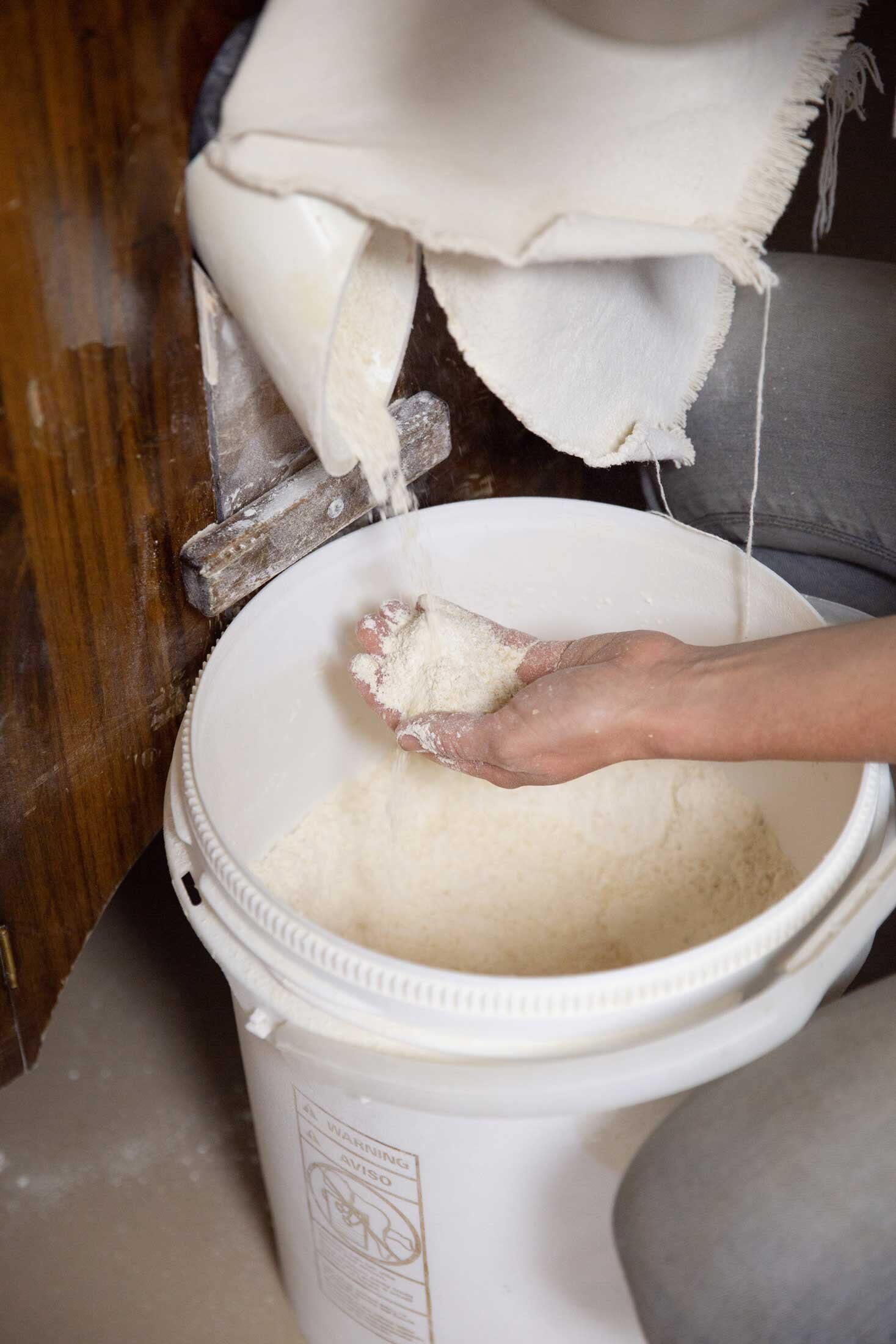 Sonora heirloom wheat flour 