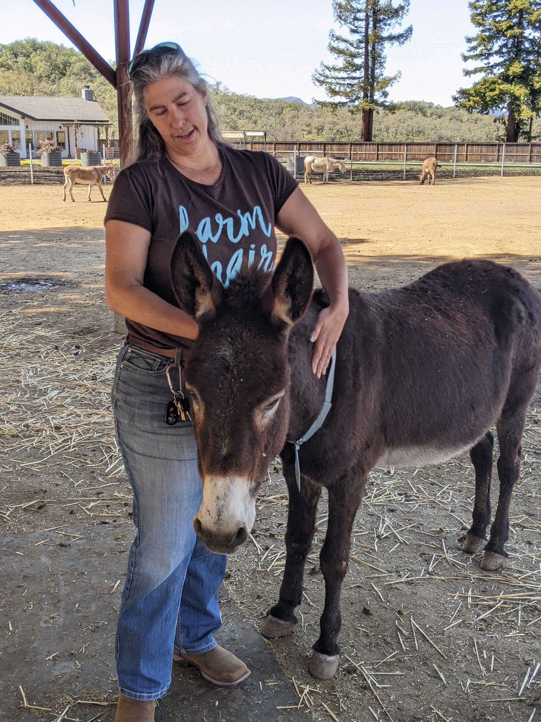 Staff and volunteers are affectionate with the donkeys to help restore their trust in humans.