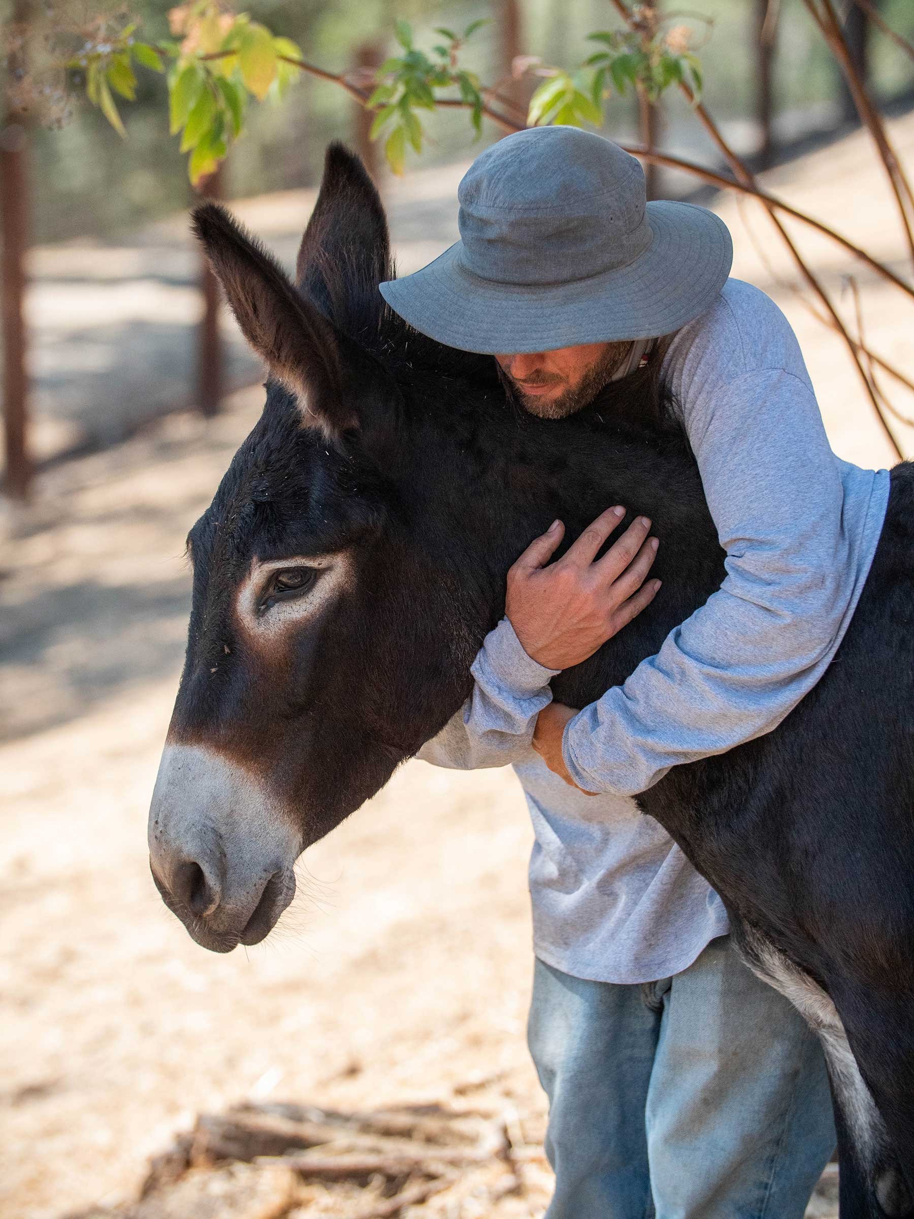 Donkey being hugged at Oscar's Place Donkey Sanctuary