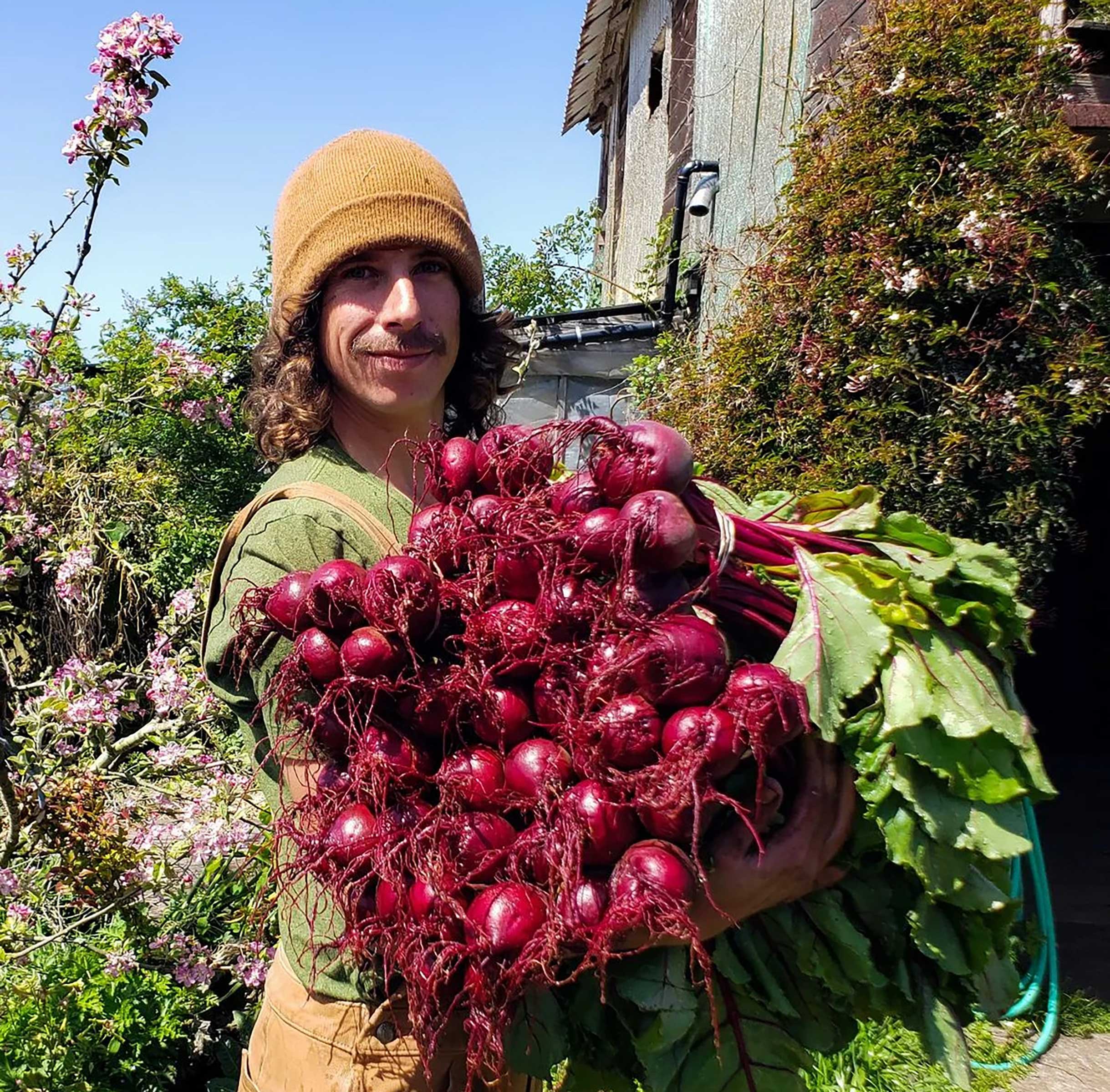 Shea holds a bevy of beets.