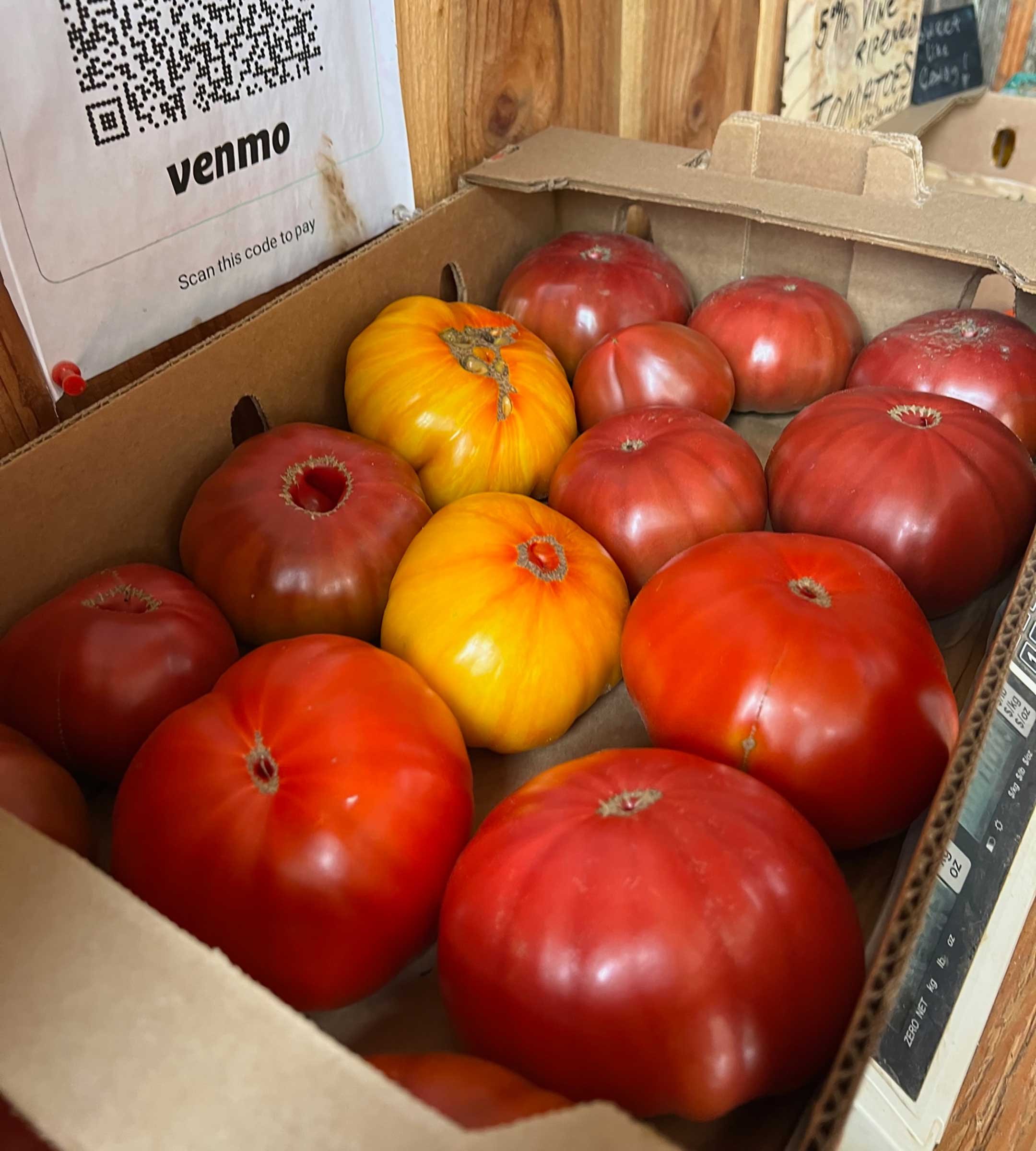 Big Mesa tomatoes at the honor stand