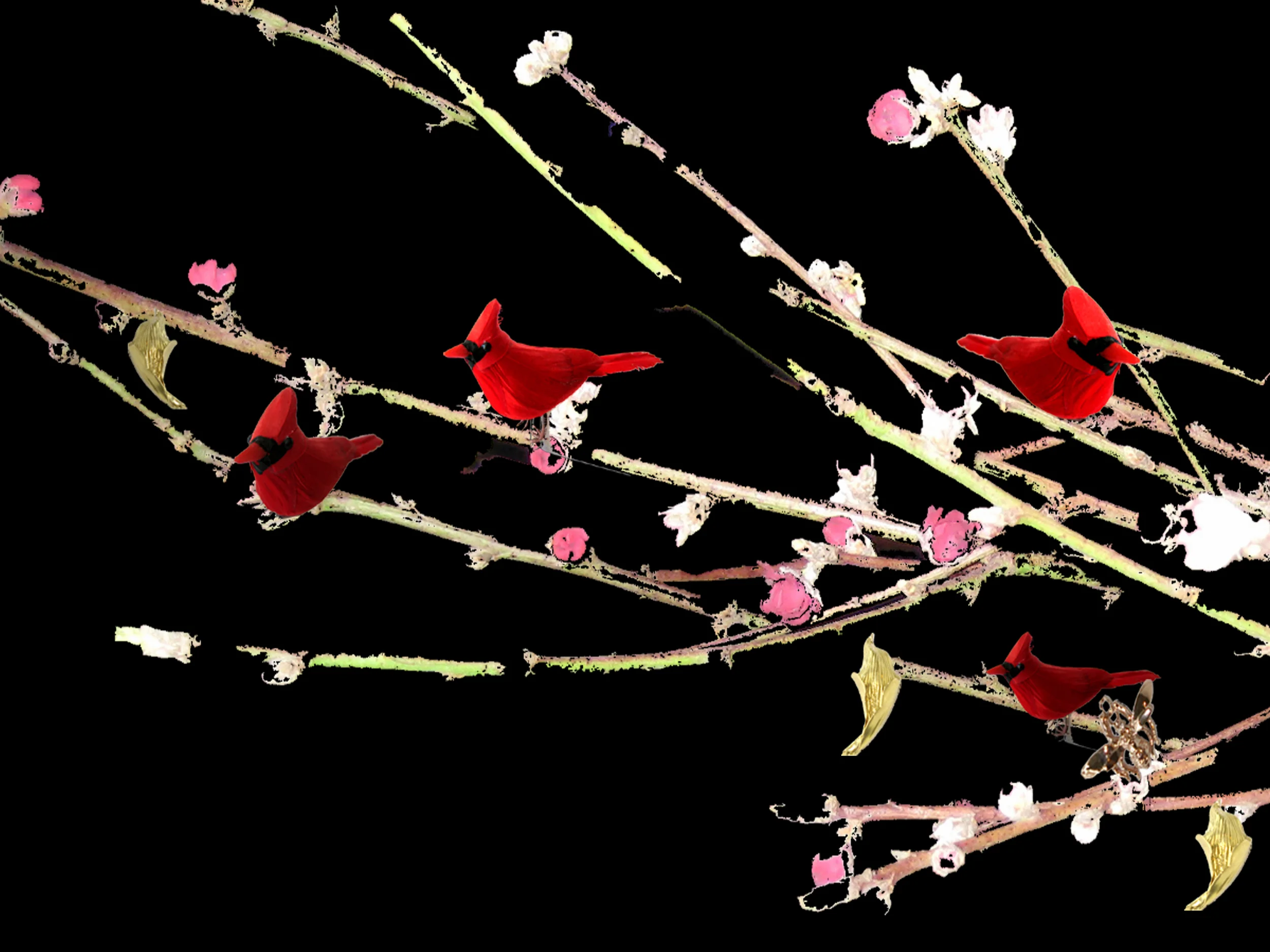 birds on branches large.jpg