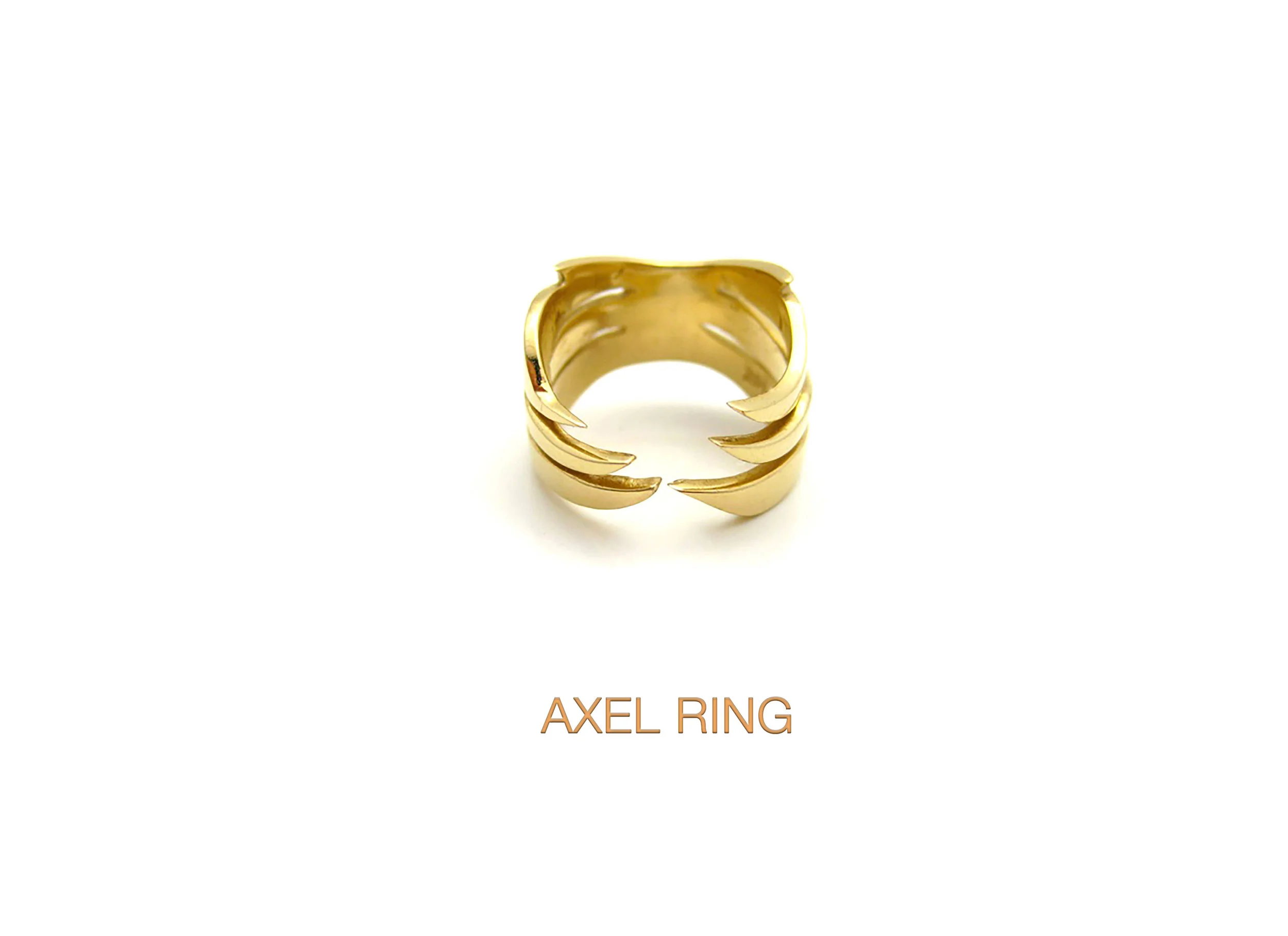 Axel Ring