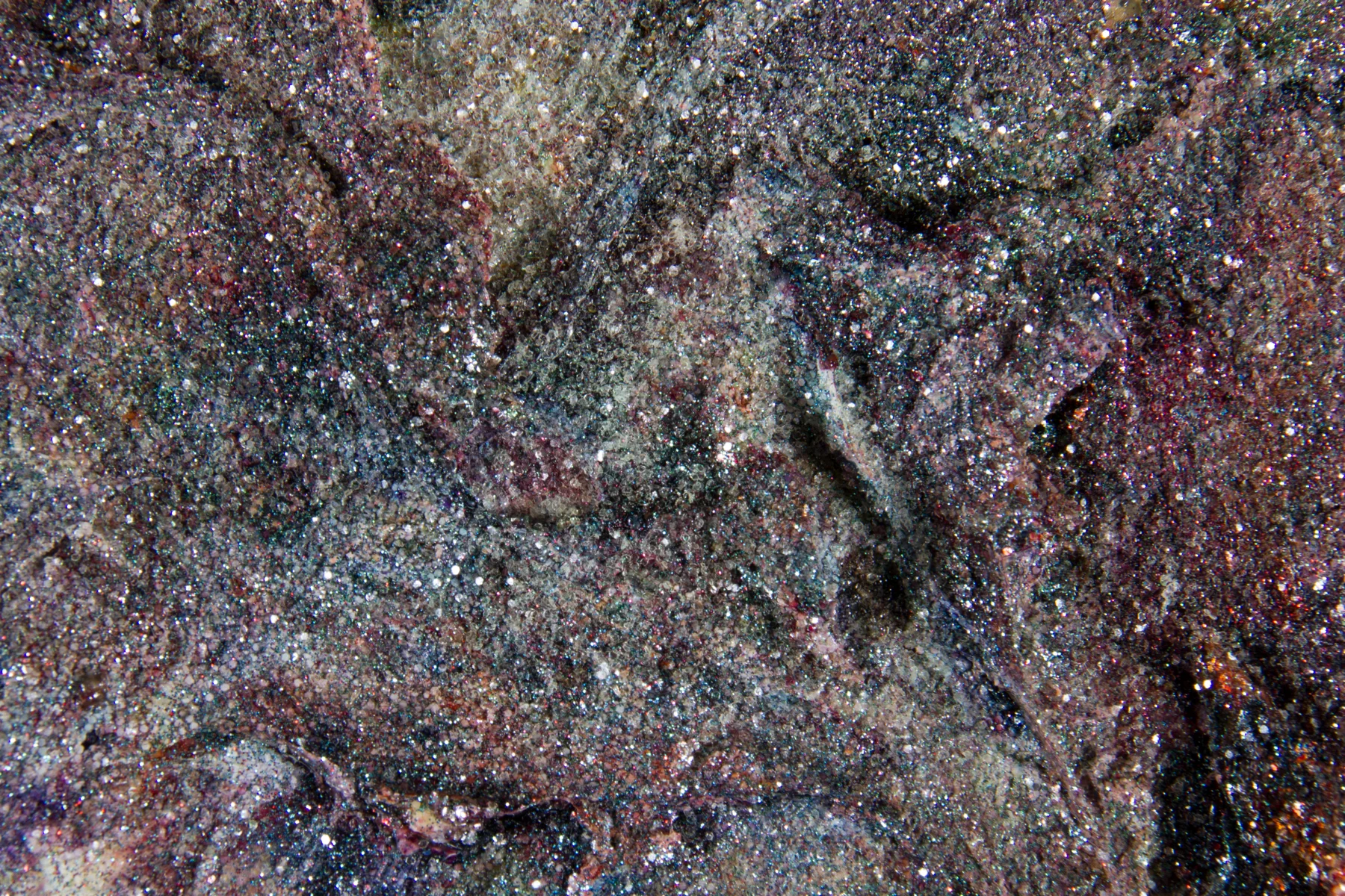 Air (Detail)