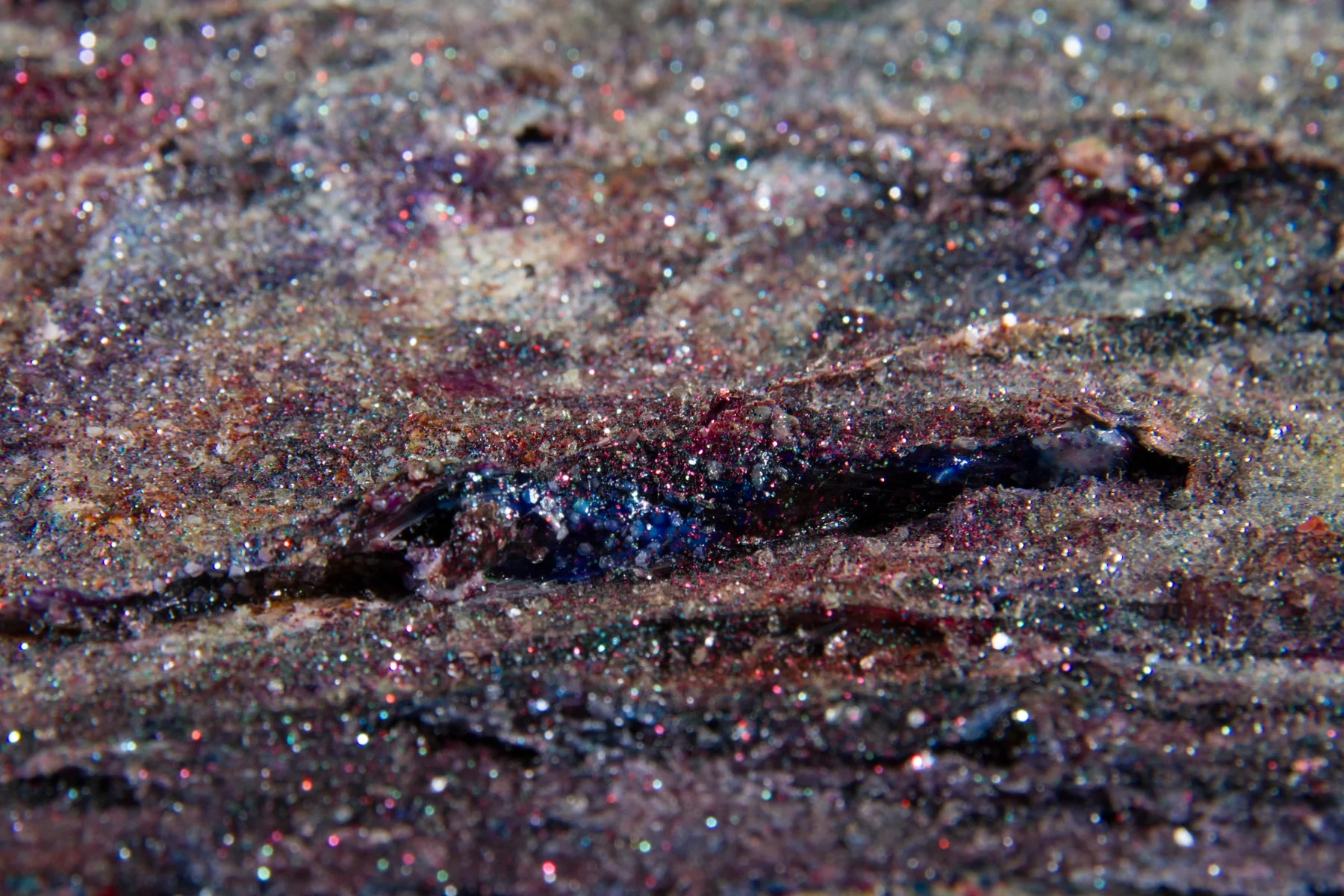 Air (Detail)