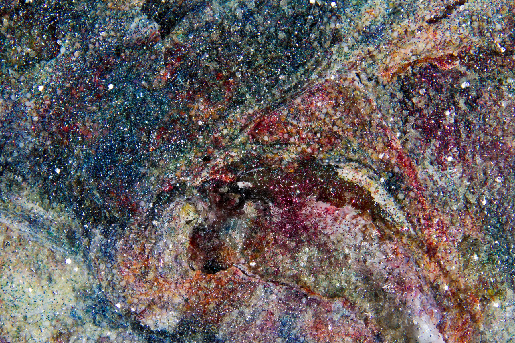 Earth (Detail)