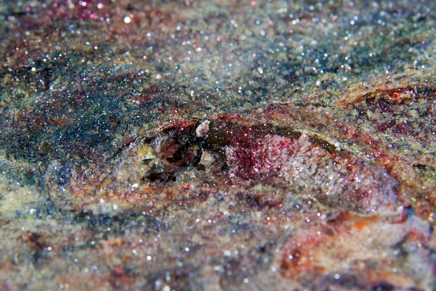 Earth (Detail)
