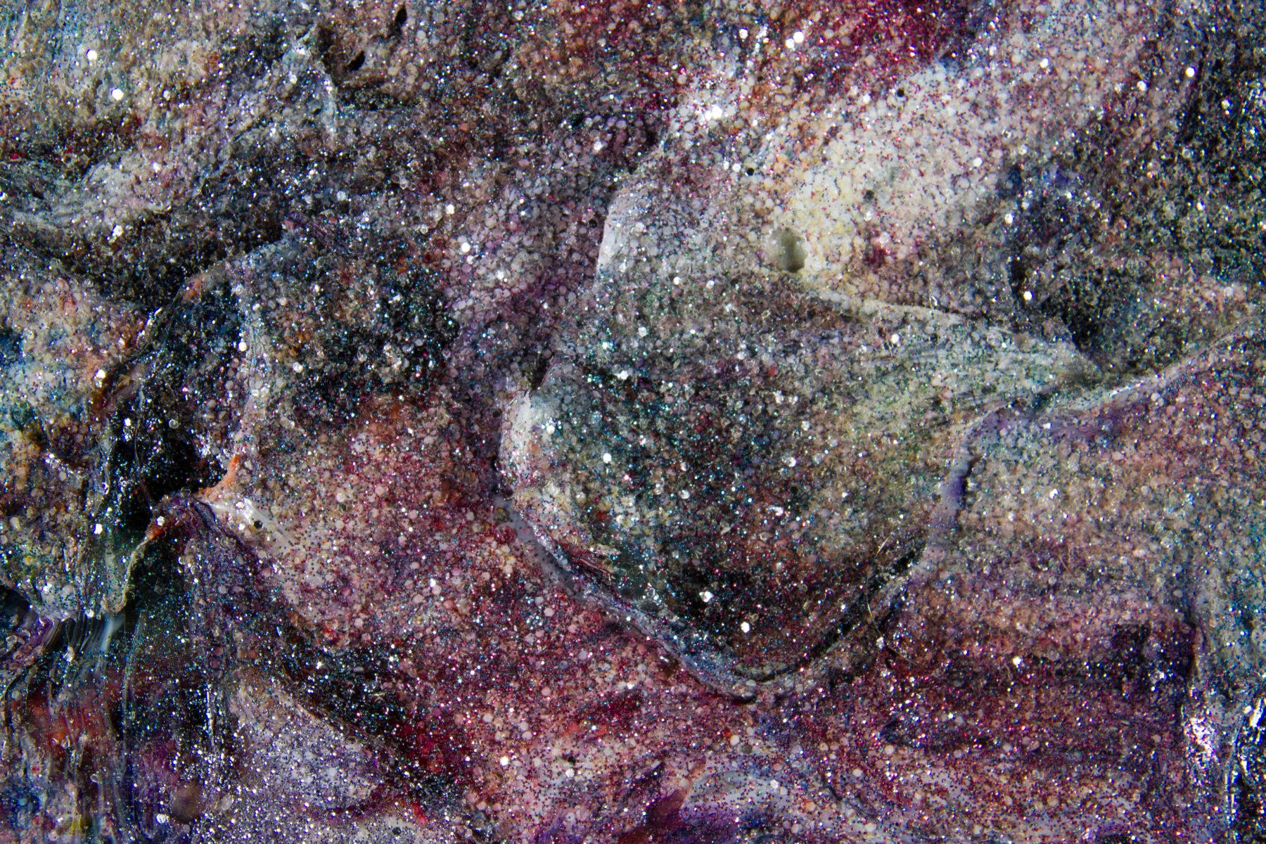 Water (Detail)