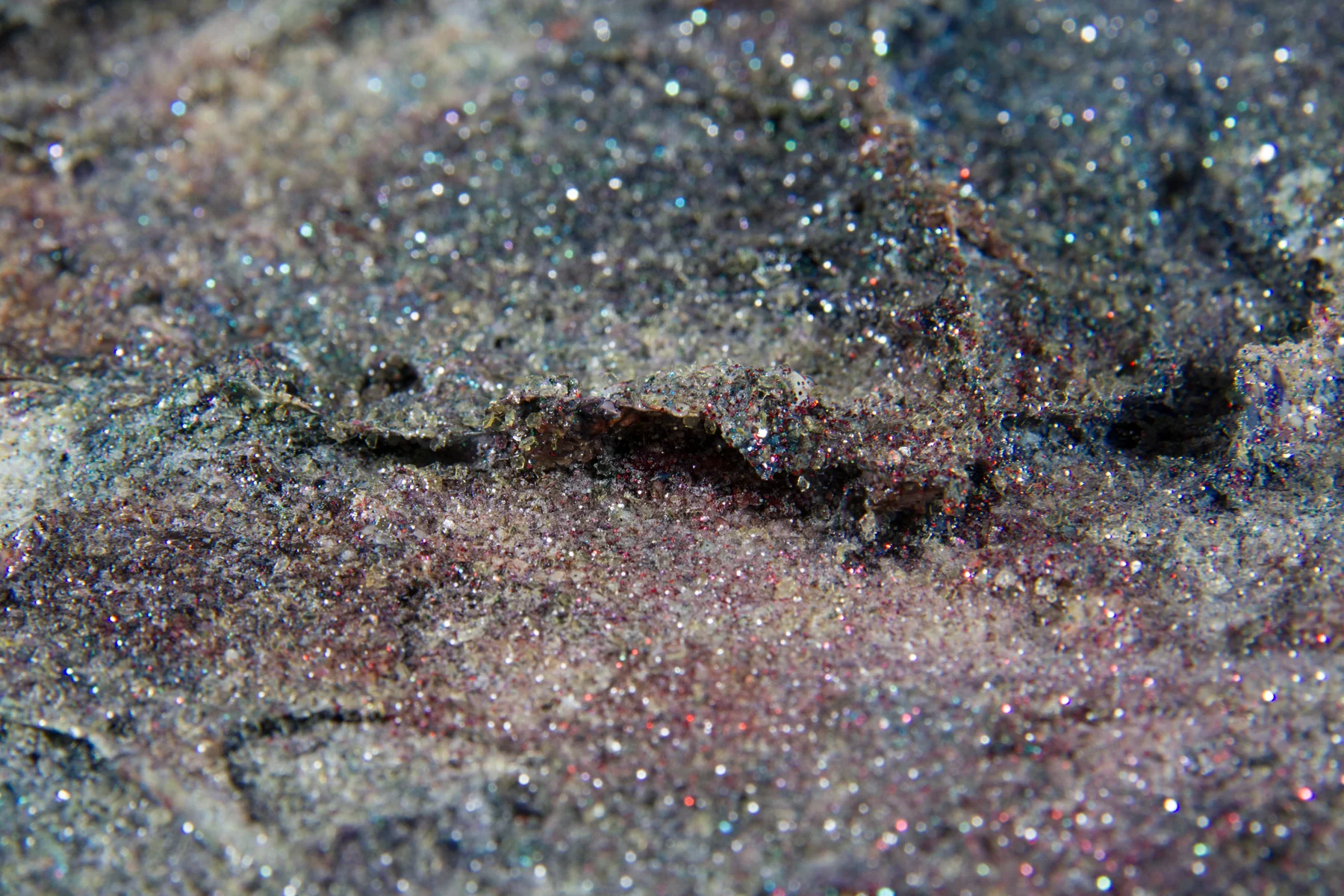 Water (Detail)