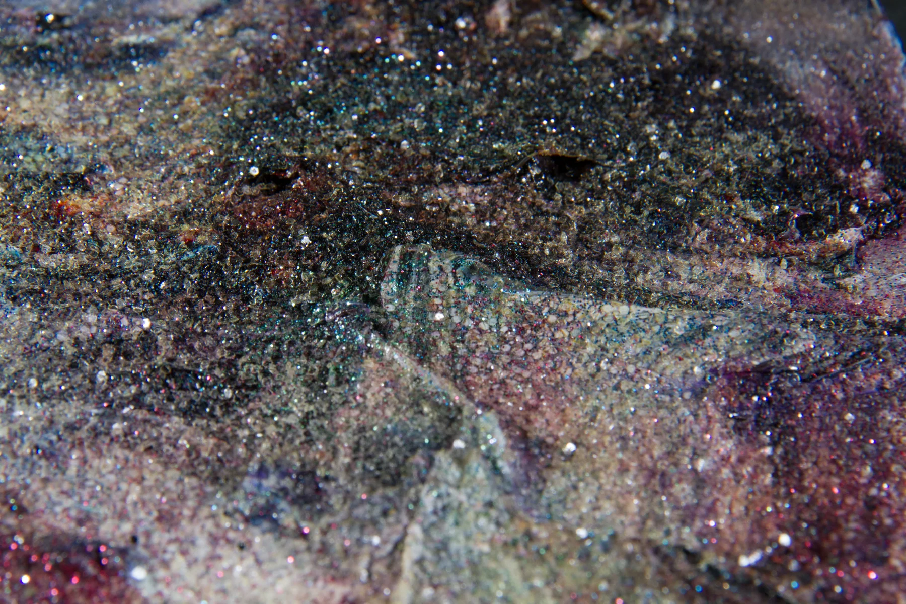 Water (Detail)