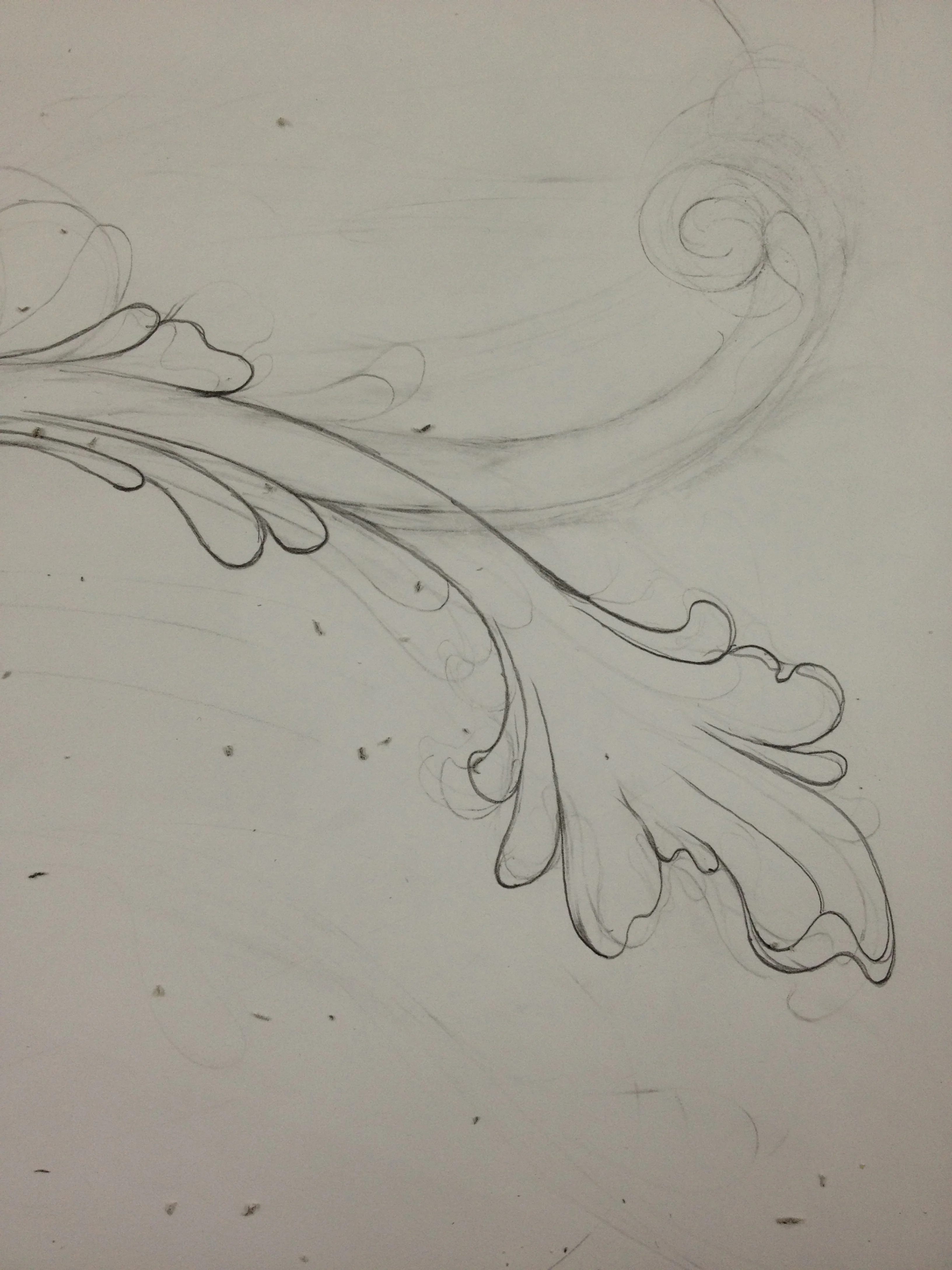 Study for Molding Commission, Private Residence