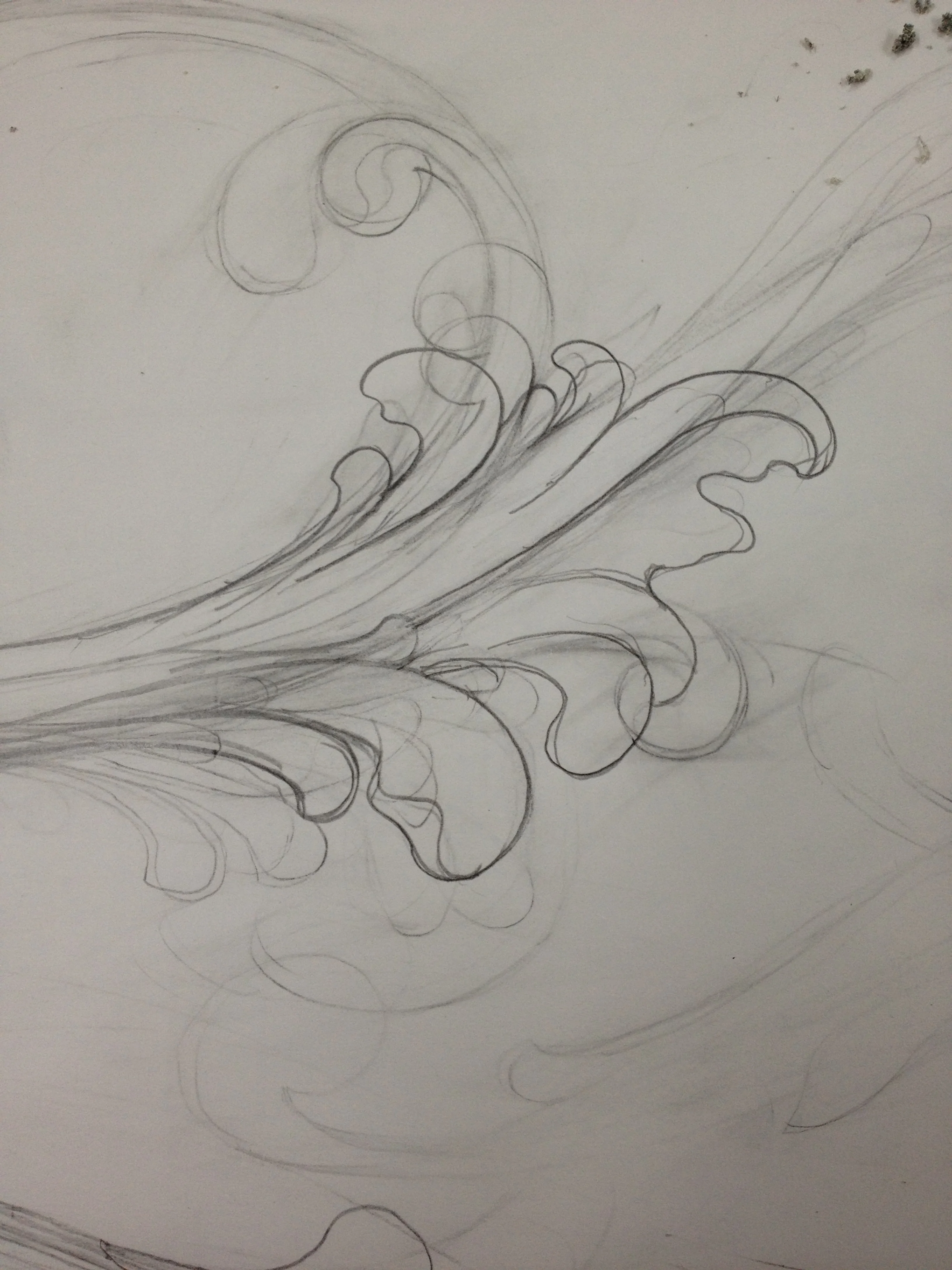Study for Molding Commission, Private Residence