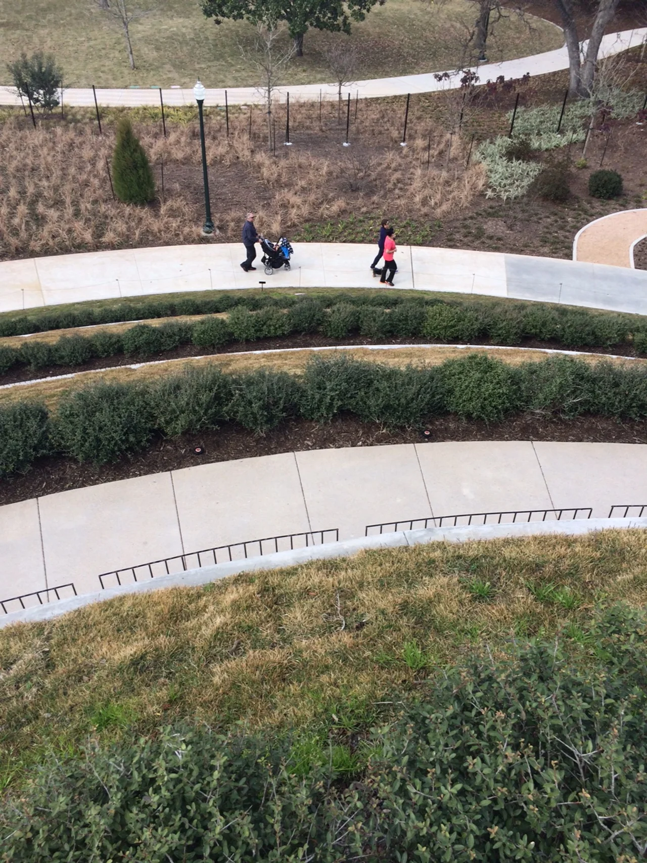  View from the top of the Mount, McGovern Centennial Garden 