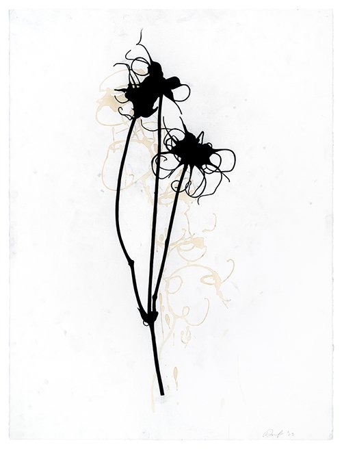 Stem #1