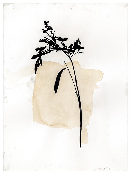 Arrangement #8