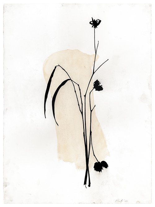 Arrangement #9